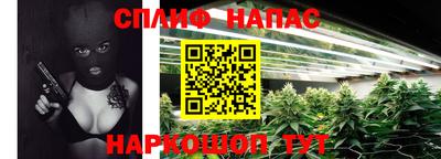 молекула духа Старая Купавна