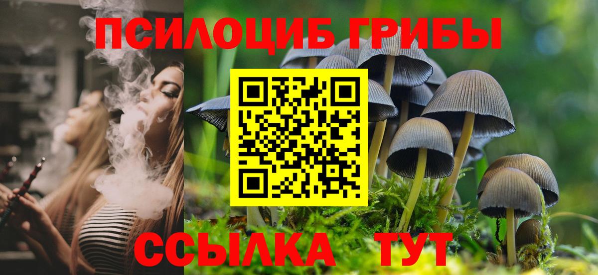 Псилоцибиновые грибы мухоморы Норильск